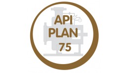 API план 75